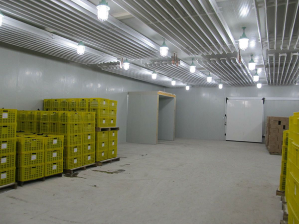 建邺区速冻冷库生产厂家